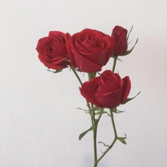 Meet your Posher, Closet - Picture 1 of 1